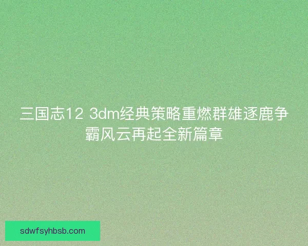 三国志12 3dm经典策略重燃群雄逐鹿争霸风云再起全新篇章 三国志12 3dm经典策略重燃群雄逐鹿争霸风云再起全新篇章
