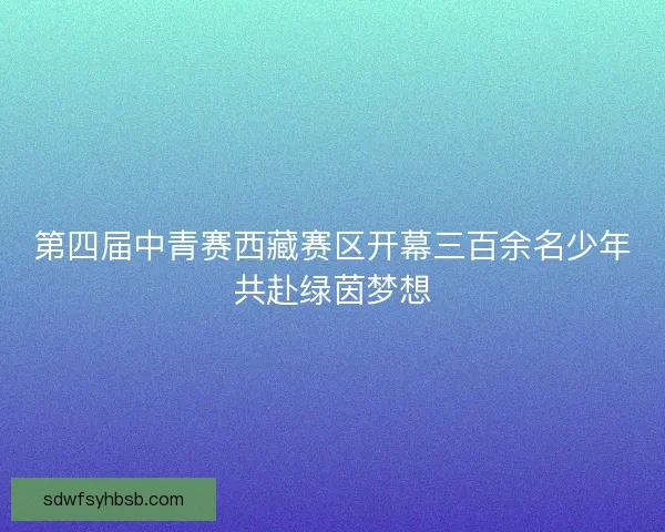 第四届中青赛西藏赛区开幕三百余名少年共赴绿茵梦想 第四届中青赛西藏赛区开幕三百余名少年共赴绿茵梦想